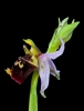 Ophrys dinarica - Dinarische Ragwurz (3)